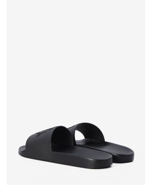 Basile slides